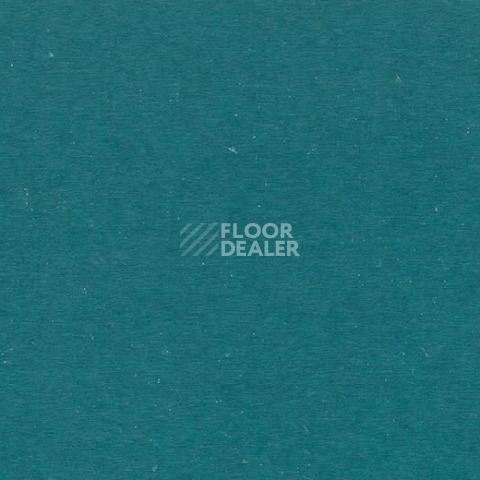 Кварцвиниловые полы Forbo Allura Colour/Colour Plus C68040-651040 petrol green фото 1 | FLOORDEALER